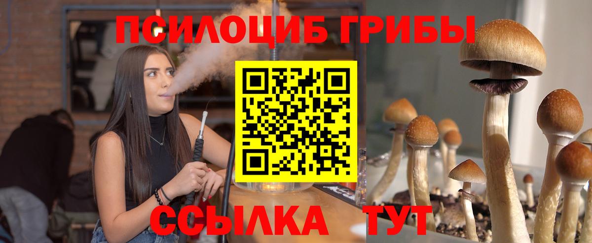 Псилоцибиновые грибы MAGIC MUSHROOMS Лениногорск
